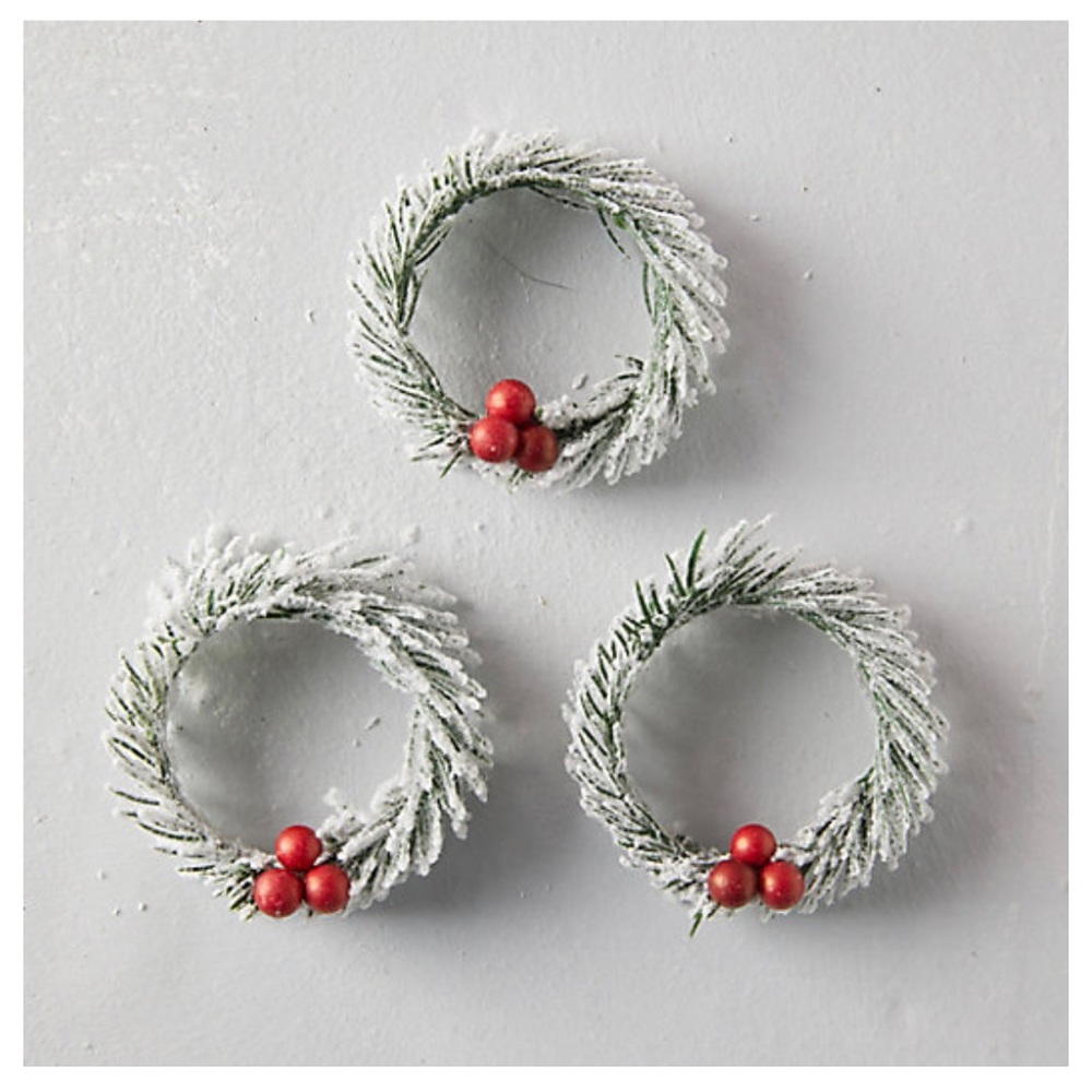Terrain Anthropologie NWT Concordville mini wreaths set of 3